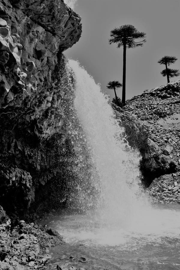 Cabanas Agua Clara Villa Pehuenia Exteriér fotografie